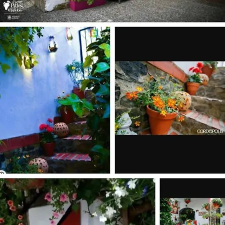Casa De Sentidos Affittacamere